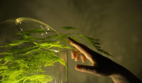 A new lamp designed by Dutch company uses the photosynthetic process to derive power from living plants. Earth Powers, Chemical Energy, Plant Magic, Elemental Powers, Green Magic, Magic Aesthetic, Magic Powers, Plant Powered, Photosynthesis