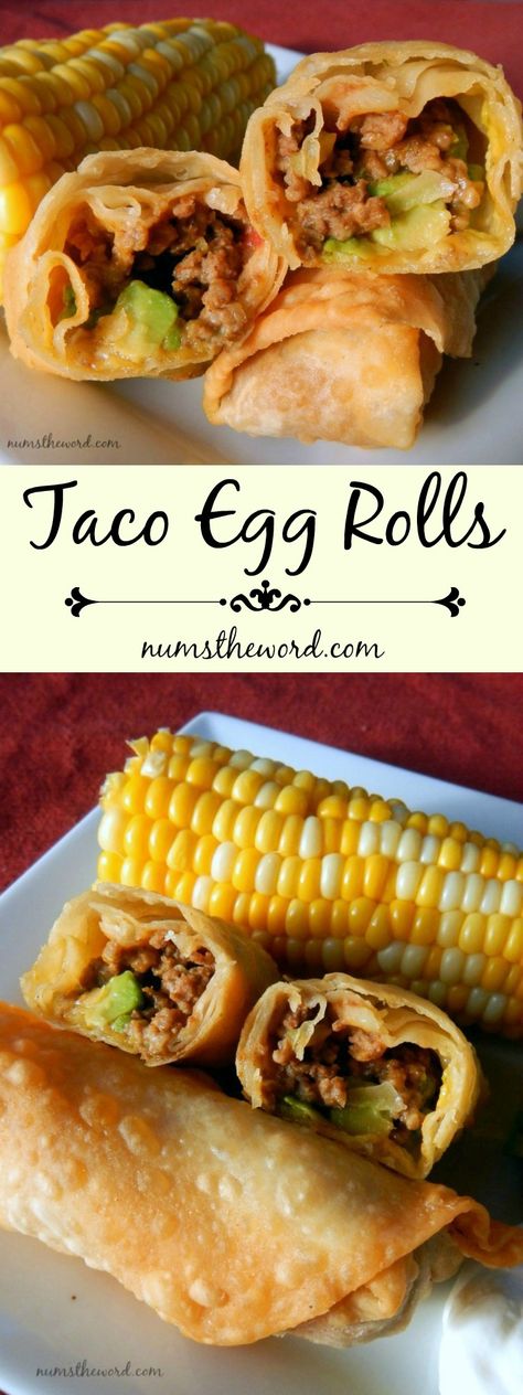 If you love Tacos, try these easy Taco Egg Rolls ~ A taco rolled up into an egg roll and fried... Kid friendly, spouse approved, easy weeknight meal! Taco Spring Rolls, Nacho Egg Rolls Recipe, Nacho Egg Rolls, Taco Egg Rolls, Quesadilla Maker, Egg Roll Recipes, Ice Bear, Easy Taco, Deep Fry