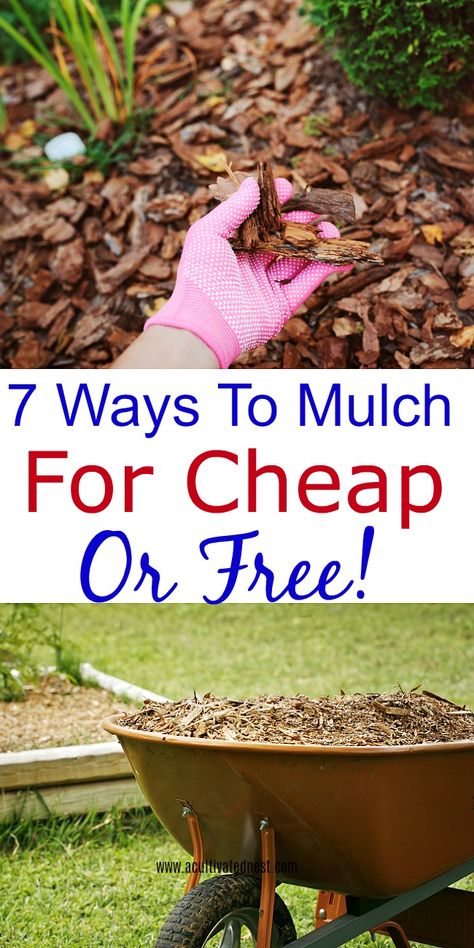 How to find free or cheap mulch-Do you need to apply a layer or two of mulch to your garden or landscaping? Take a look at these ways to mulch for cheap or free! #gardening #mulchlandscapingideas #mulch #frugal #frugalgardening #acultivatednest Mulch Free Landscaping, Cheap Mulch Alternatives, Diy Mulch Landscaping, Garden Mulch Ideas Yard Landscaping, How To Mulch Landscaping, Best Mulch For Flower Beds, How To Mulch Around Trees, Best Mulch For Landscaping, Mulch Landscaping Ideas Backyard