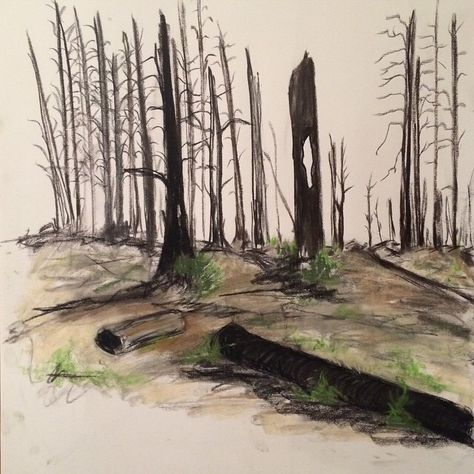 Burned Forest Art, Forest Burning Drawing, Wild Fire Drawing, Trees On Fire Drawing, Burning Tree Drawing, Burning Forest Drawing, Forest Fire Drawing, Fire Paintings, Burned Forest