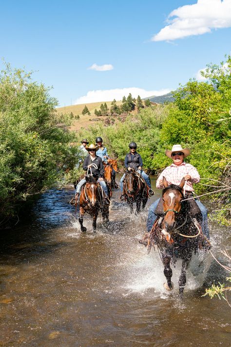 Helena, Montana, USA - Horse Riding Holidays and Safaris Montana Fishing, Horse Riding Holiday, Sunday To Saturday, Ranch Riding, Riding Holiday, Helena Montana, Round The World Trip, Natural Horsemanship, Montana Usa