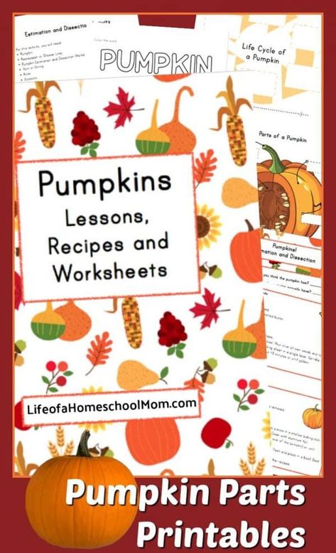 Are you looking for a fun unit study based on pumpkins?  Check out this free printable today! #pumpkins #fall #unitstudy #homeschoolprintablesforfree Pumpkin Unit Study, Homeschool October, Easy Fall Activities, Pumpkin Parts, Pumpkin Lessons, Study Pack, Pumpkin Unit, Parts Of A Pumpkin, Teaching Freebies