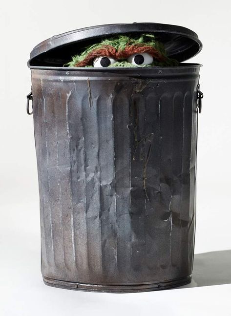 Oscar The Grouch Trash Can, Craig Ward, Squarespace Template Design, Minding My Own Business, Sesame Street Characters, Oscar The Grouch, Trash Art, Places In New York, Raw Photo