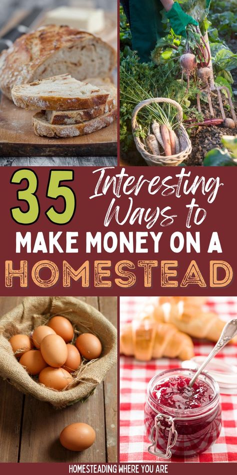 Homesteading can be a profitable journey if you have the right plan to make money on a homestead. There are lots of ways to earn money on a homestead, even a small homestead on an acre or less! These are 35 profitable ideas for making money homesteading. Homestead Items To Sell, Homesteading Business Ideas, Homestead Money Making Ideas, Food To Sell Ideas Make Money, Agritourism Ideas, Make Money Homesteading, Homesteading Recipes, Small Homestead, Homestead Style