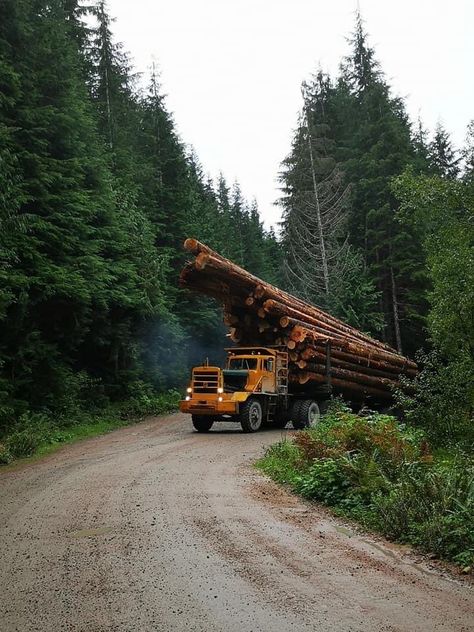 Logging Aesthetic, Logging Camp, Sawmill Lumber, Hunting Truck, Log Truck, Logging Trucks, Logging Industry, Model Truck Kits, Logging Equipment