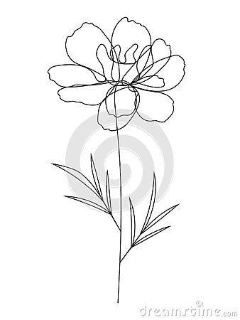 Marigold Line Tattoo, One Line Marigold Tattoo, Flower Contour Drawing, Marigold Line Drawing, Marigold Drawing, Maddy Tattoo, Flower Outline Tattoo, Family Vector Illustration, Continuous Line Tattoo