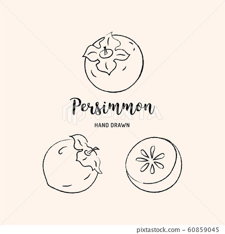 Persimmon Drawing, Persimmon Illustration, Persimmon Tattoo, Gardener Illustration, Fruit Graphic, Persimmon Fruit, Key Tattoos, Patchwork Tattoo, Graphic Drawing