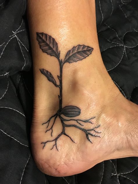 Tattoo of a tanoak seedling (Notholithocarpus densiflorus). Seed Growing Tattoo, Plant Roots Tattoo, Pecan Tree Tattoo, Ankle Plant Tattoo, Root Tattoo Ideas, Bean Sprout Tattoo, Seedling Tattoo, Environment Tattoo, Unique Nature Tattoos