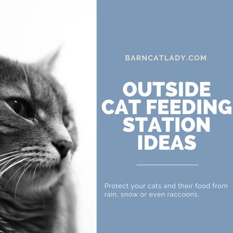 Feeding Stations!  Ideas to help cover cat food or allow a cat a hidey-hole to eat or even raccoon-proof suggestions.  https://barncatlady.com/outside-cat-feeding-station-ideas/  #barncatlady #communitycats #cats #outdoorcats #feralcats #feedingstations #blog Cat Feeding Station Ideas, Cat Feeding Station Dog Proof, Cat Feeder Station, Cat Feeder Diy, Cat Shelters For Winter, Cat Food Station, Cat Projects, Outdoor Cat Shelter, Feral Cat Shelter