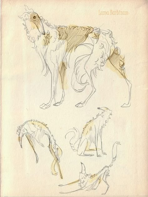 Borzoi by runandwine Borzoi Side Profile, Borzoi Sketch, Borzoi Tattoo, Borzoi Drawing, Borzoi Art, Russian Wolfhound, Borzoi Dog, Quick Sketches, Buy A House