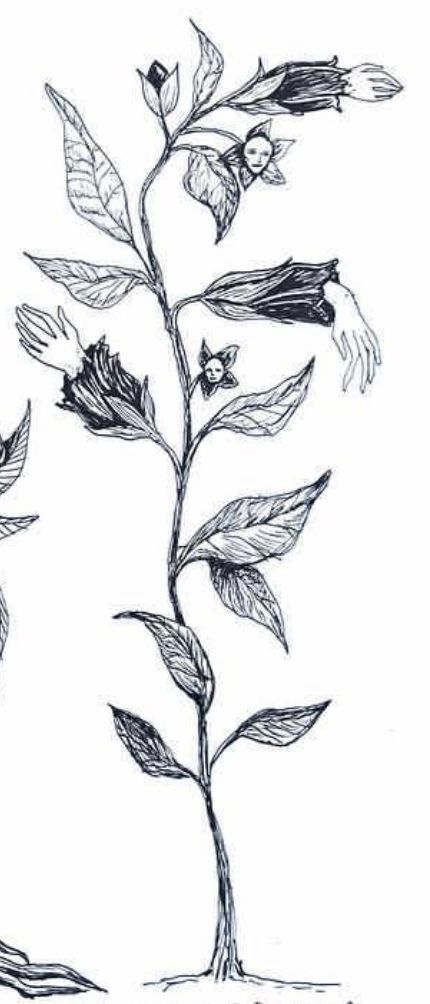 Poison Garden Tattoo, Belladonna Flower Tattoo, Deadly Nightshade Tattoo, Nightshade Tattoo, 28 Tattoo, Belladonna Flower, Nightshade Plant, Poison Garden, Deadly Nightshade