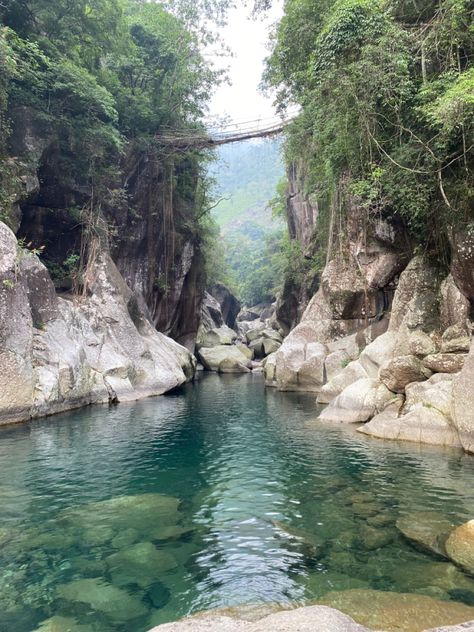 Meghalaya Aesthetic, Living Root Bridge, Root Bridge, Village Photos, Shillong, Cliff Diving, Northeast India, Dream Place, Study Material