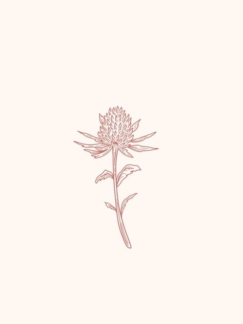 Redwood Tattoo, Scotland Tattoo, Scottish Thistle Tattoo, Scottish Tattoo, Scottish Tattoos, Thistle Tattoo, Flor Tattoo, Line Tattoo Ideas, Tattoo Floral