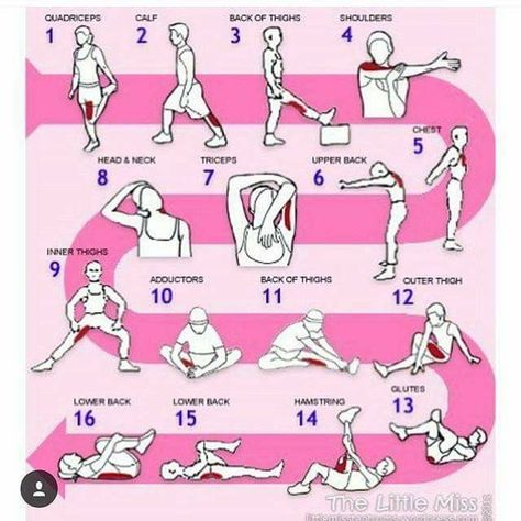 Pre Workout Stretches, Full Body Stretching Routine, Post Workout Stretches, Volleyball Practice, Full Body Stretch, Lose Thigh Fat, Stretch Routine, Volleyball Workouts, Lower Back Pain Exercises