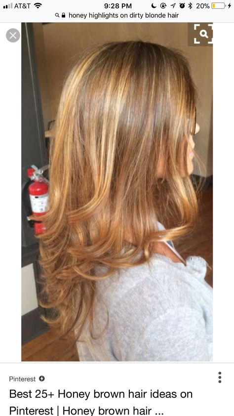 Caramel Blonde Highlights, Honey Hair Color, Blonde Balayage Highlights, Honey Brown Hair, Caramel Blonde, Highlights Hair, Caramel Hair, Brown Hair With Blonde Highlights, Honey Blonde Hair