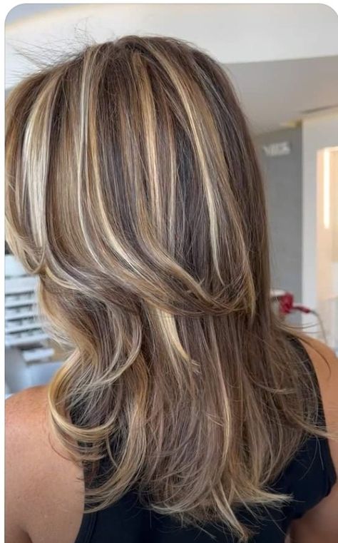 Triple Highlights Hair, Blocky Blonde Highlights, Medium Brown Blonde Highlights, Brown Hair With Blonde Highlights Wolfcut, Brown Hair With Blonde Streaks 2000s, Chunky Highlights Medium Length Hair, Chunky Carmel Blonde Highlights, Blonde Streaks Brown Hair, Chunky Blonde Highlights On Brown Hair Straight