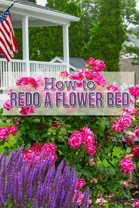 Backyard Flowers Beds, Rose Garden Landscape, Colorful Flower Beds, Front Porch Flowers, Flower Bed Edging, Front Flower Beds, Raised Flower Beds, Porch Flowers, Flower Bed Designs