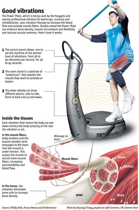 The Power Plate improves proprioception through the golgi tendon :) Power Plate Exercises, Vibrating Plate Exercises, Vibration Plate Exercise Chart, Power Plate Workout, Vibration Plate Exercises, Whole Body Vibration, Vibration Plate, Power Plate, Fitness Magazine