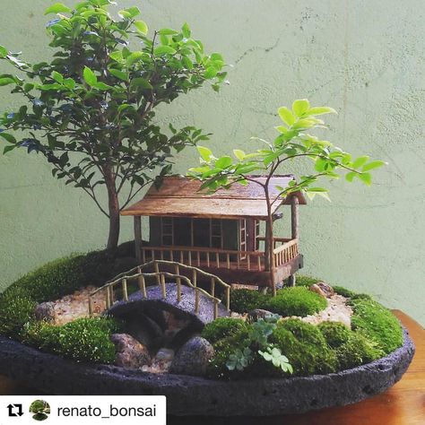 Terrarium Dreams on Instagram: “@renato_bonsai #terrariumdreams #bonsai #bonzai #bonzaï #bonsailife #bonsaitree #terrario #miniature #tinyscape #tinyworld #terrariums…” Diy Miniature Landscape, Bonsai Fairy Garden, Bonsai Miniature Garden, Japanese Fairy Garden, Mini Bonsai Garden, Japanese Miniature Garden, Art Anime Tattoo, Mini Japanese Garden, Zen Garden Miniature