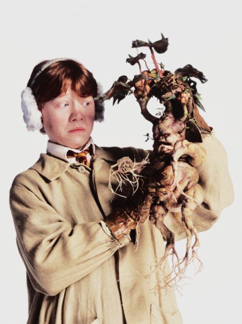 Rupert Grint Ron Weasley, Cumpleaños Harry Potter, Glume Harry Potter, The Chamber Of Secrets, Ronald Weasley, Harry Potter Ron, Harry Potter And The Chamber Of Secrets, Images Harry Potter, Rupert Grint