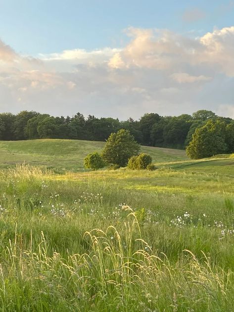 Peaceful Life Pictures, Aesthetic Landscape Photography, Traveling Aesthetic Pictures, Green Fields Aesthetic, Natural Green Aesthetic, Sunny Field Aesthetic, Summer Meadow Aesthetic, Summer Grass Aesthetic, Field Of Grass Aesthetic