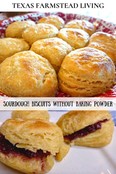 #SOURDOUGHBISCUITS#BISCUITSWITHOUTBAKINGPOWDER #BISCUITS LEARN HOW TO MAKE HOMEMADE SOURDOUGH BISCUITS WITHOUT USING BAKING POWDER OR BAKING SODA. THESE FLAKY MADE FROM SCRATCH BISCUITS ARE LEAVENED WITH SOURDOUGH. IN THIS EASY RECIPE THE BISCUITS ARE MADE IN THE EVENING THEN PUT IN THE REFRIGERATOR OVERNIGHT. IN THE MORNING JUST HEAT THE OVEN AND THE BISCUITS ARE READY TO BAKE FOR BREAKFAST. YOU WILL LOVE THIS RECIPE AND WE ALL NEED TO LEARN TO IMPROVISE AND USE WHAT IS AVAILABLE. BLESSINGS! Overnight Discard Recipes, Sourdough Drop Biscuits, Overnight Sourdough Biscuits Recipe, Sourdough Drop Biscuits Easy, Overnight Sourdough Discard Recipes, Sourdough Buttermilk Biscuits, Sourdough Discard Biscuits Easy, Quick Sourdough Biscuits Recipe, Overnight Sourdough Biscuits