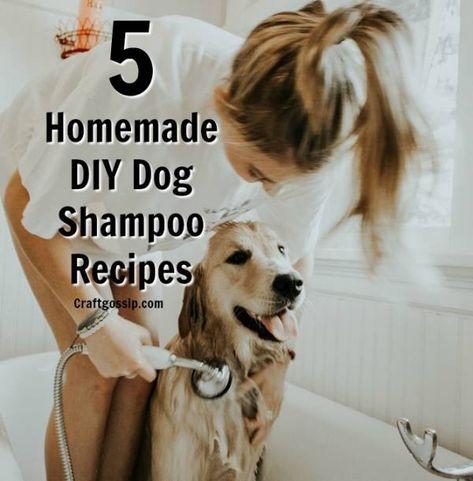 DIY Homemade Dog Shampoo – Bath and Body Dog Shampoo Recipe, Diy Shampoo Recipe, Diy Dog Shampoo, Homemade Dog Shampoo, Dog Soap, Dogs Diy Projects, Coconut Oil For Dogs, Shampoo Recipe, Homemade Shampoo