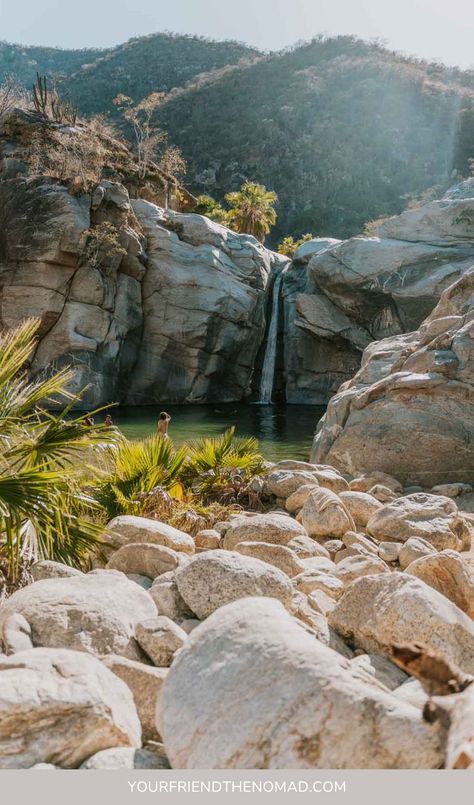 Photo of waterfall in desert Cabo Vacation, Cabo Mexico, San Lucas Mexico, Cabo San Lucas Mexico, Waterfall Hikes, Desert Oasis, Baja California Sur, San Lucas, Gorgeous View