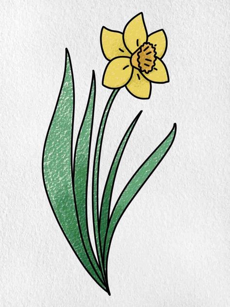 Easy to Draw Flowers - HelloArtsy Pictures Of Daffodils, Learn To Draw Flowers, Painters Tape Art, Daffodil Images, Flower Bouquet Drawing, Easter Drawings, Easy Flower Drawings, Draw Flowers, Art Studio Design