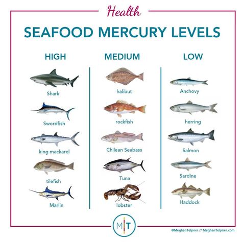 Guide To Eating Fish: Choosing Healthy and Sustainable Options Healthy Fish To Eat, Different Types Of Fish To Eat, Fish Types To Eat, Cold Water Fish To Eat, Types Of Seafood, Raising Fish For Food, Healthiest Fish To Eat, Types Of Fish To Eat, Best Fish To Eat