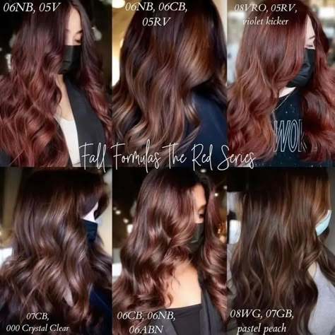 Christine on Instagram: "Who doesn’t love a beautiful brunette 🤎 with some spice 🌶️ Check out these inspirational formulas created by @denisesuzanne_ 💾 Save for…" Bronze Balayage On Black Hair, Brown Hair No Red Tones, Shades Eq Red Brown Formulas, Redken Brunette Formulas, Redken Brunette, Toner Shades, Redken Toner, Shades Formulas, Redken Products