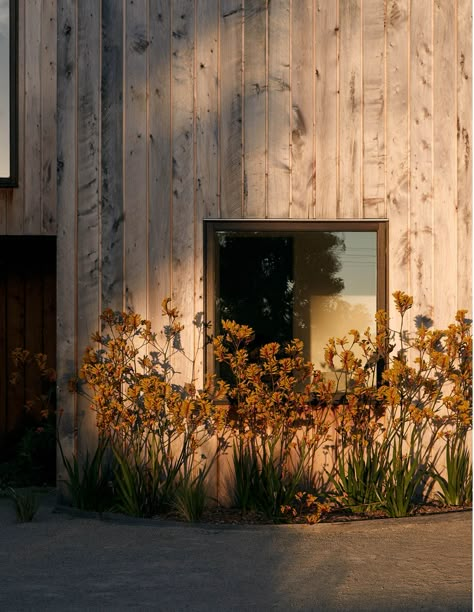 Cypress House, Timber Sliding Doors, House Coastal, Recycled Brick, Sea Ranch, Villa Park, Reclaimed Timber, Wood Siding, House Building