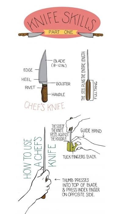 Knife skills 101 Basic Knife Skills, Knife Safety Poster, Ahg Explorers, Culinary Notes, Knife Safety, Culinary Basics, Culinary Lessons, Knife Skills, Culinary Cooking