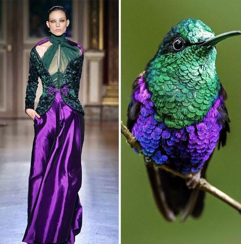 Bird Fashion, Nature Inspired Fashion, Fashion Designers Famous, Fashion Illustration Dresses, Famous Fashion, Fashion Inspiration Design, Mood Board Fashion, Purple And Green, Jolie Photo