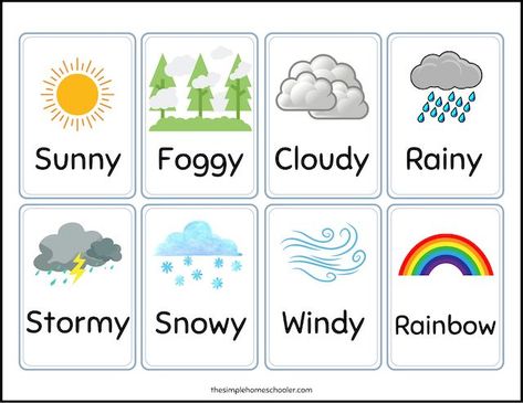 Preschool Weather Chart, Weather Names, Weather Printables, Weather Unit Study, Weather For Kids, Teaching Weather, Weather Lessons, Preschool Weather, Weather Vocabulary