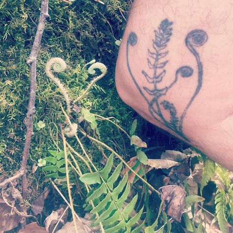 Rae Swersey, CH on Instagram: “When you match your favorite things. This one is for remembering to not sell myself short. (Thanks for the fiddlehead ferns tattoo from…” Fiddlehead Fern Tattoo, Fiddlehead Ferns, Fern Tattoo, Stick N Poke Tattoo, Poke Tattoo, Stick And Poke, Watercolor Tattoo, Tattoos, Instagram