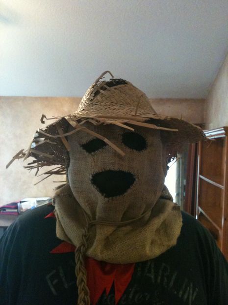 Scary Scarecrow Costume, Diy Scarecrow Costume, Boys Halloween Costumes Diy, Diy Halloween Masks, Scarecrow Batman, Scarecrow Mask, Halloween Costumes Scarecrow, Scary Scarecrow, Scarecrow Hat