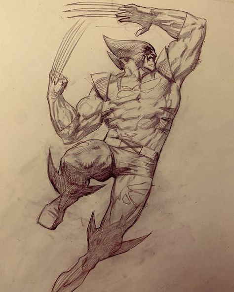 Wolverine Pose Reference, Marvel Anatomy, Wolverine Drawing, Wolverine Sketch, Wolverine Comic Art, Superhero Sketches, Comic Art Sketch, Drawing Superheroes, Wolverine Art