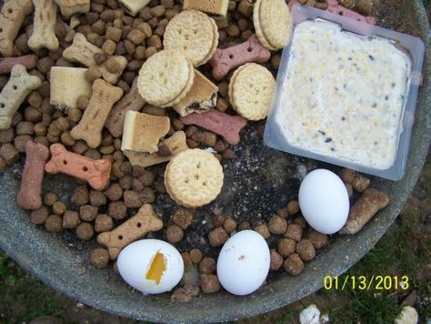 Feeding Crows, Crow Feeder, Shaman Journey, Backyard Habitat, Backyard Birds Watching, Backyard Birds Sanctuary, Fig Newtons, Raw Eggs, Animal Reiki