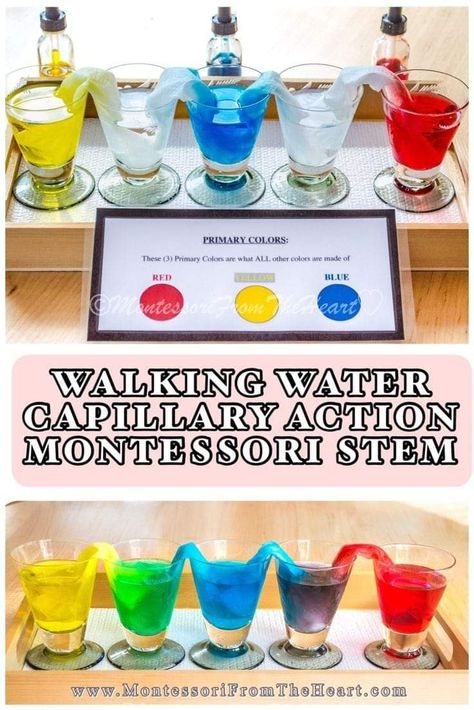 Montessori Stem Activities, Stem Experiments Preschool, Montessori Experiments, Easy Experiments For Kindergarten, Montessori Color Activities, Color Experiments For Kids, Experiment For Preschoolers, Kids Science Experiment, Stem Kids