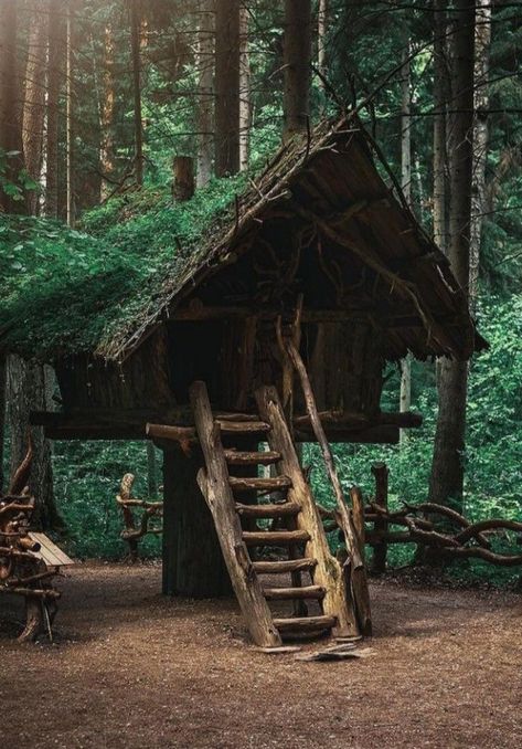 Bushcraft Shelter, Tree House Plans, Forest Cabin, Tree House Designs, Bushcraft Camping, Survival Shelter, Small Cabin, Cabin In The Woods, Forest House