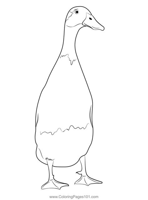 The Runner Duck Coloring Page Mallard Tattoo, Runner Ducks Drawing, Runner Duck Art, Goose Coloring Pages, Ducks Coloring Pages, Duck Coloring Pages Free Printable, Ducks In A Row Drawing, Duck Outline, Colour Pictures