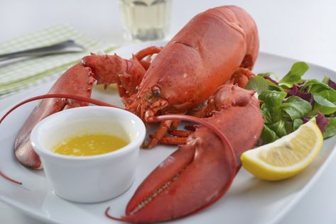 Butter For Lobster, Lobster Butter Sauce, Lobster Butter, Steamed Lobster, Yogurt Toppings, Spiced Butter, Making Butter, Lobster Meat, Lobster Recipes