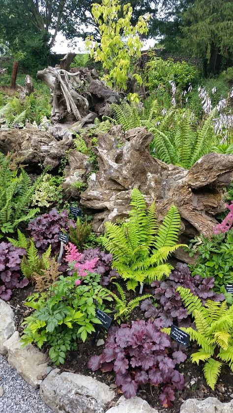 Rockery Garden, Shade Garden Design, Ferns Garden, Shade Garden Plants, Rock Garden Design, Sloped Garden, Landscaping With Large Rocks, Rock Garden Landscaping, Forest Garden