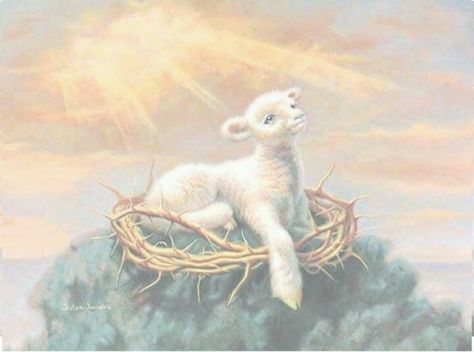 Art Christ Centered Easter, Christian Graphics, Lion And Lamb, Agnus Dei, Lamb Of God, Bible Illustrations, Jesus Christ Art, Christian Artwork, Baby Lamb