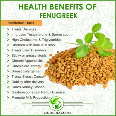 Benefits Of Fenugreek Seeds, Mucus In Stool, Benefits Of Fenugreek, Fenugreek Benefits, Breast Milk Production, Health Articles Wellness, Fenugreek Leaves, Organic Supplements, Increase Milk Supply