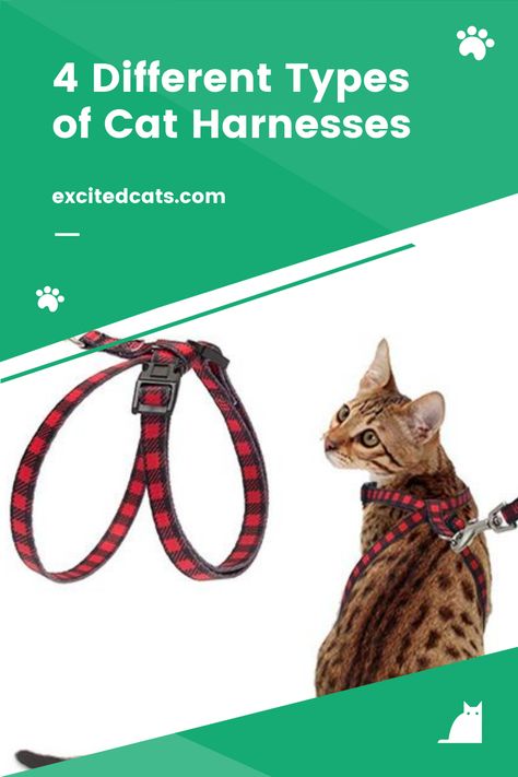 In this guide, we’ll walk you through the pros and cons of each type of harness, so you and your cat can enjoy a safe, peaceful walk anytime you like. #bestcatharness #typesofcatharnesses #catgear #catcare #catadvice #excitedcats Best Cat Harness, Different Types Of Cats, Cat Advice, Types Of Cats, Cat Garden, Cat Harness, Best Cat, Cat Care, Pros And Cons