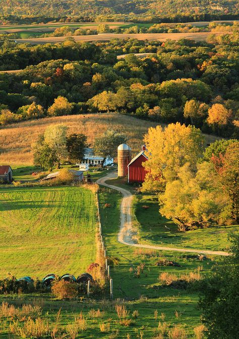 Sunset Farm - Rolling hills of Dubuque County in Northeast Iowa. Iowa Farms, Farm Scene, Country Scenes, Country Side, Back Road, Rural Life, Country Farm, Rolling Hills, Country Road