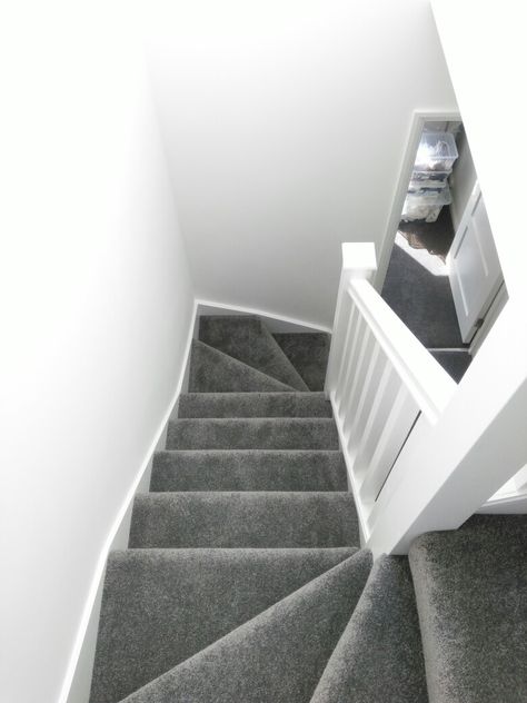 Stairs grey carpet white walls Grey Carpet Upstairs, Gray Carpet White Walls Living Room, Stairs Grey Carpet, White And Grey Hallway And Stairs, Grey Carpets For Stairs And Landing, Grey Stair Carpet Ideas, Stairs Ideas Carpet, Grey Carpet Staircase, Grey Carpet White Walls Living Rooms