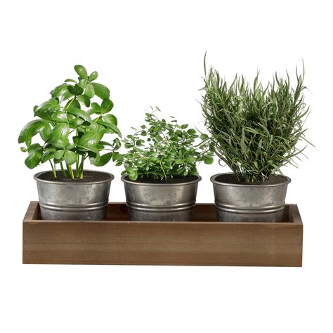 PRICES MAY VARY. Create an Garden: ​​Our planting pots provides an ideal option for establishing an indoor herb garden. Planter set comes with a tray and does not come with plants, seeds, or any additional items. They are specially crafted for herbs and succulents, making them suitable for both indoor and outdoor use. House Plant Pots: The dimension of this set is 12.6" x 4.9" x 3.7". It includes three galvanized bucket planter and a wooden tray. You have the opportunity to cultivate and care fo Indoor Window Planter, Farmhouse Flower Pots, Windowsill Herb Garden, Window Herb Garden, Window Planter, Herb Garden Planter, Outdoor Herb Garden, Bucket Planters, Herb Garden In Kitchen